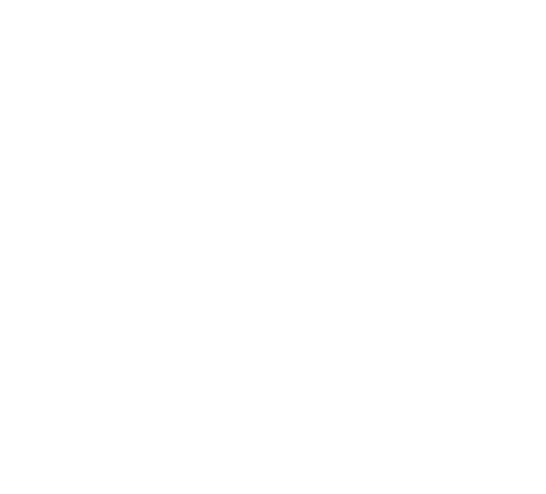 Victory Future